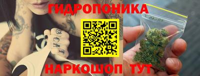 твердый Моздок