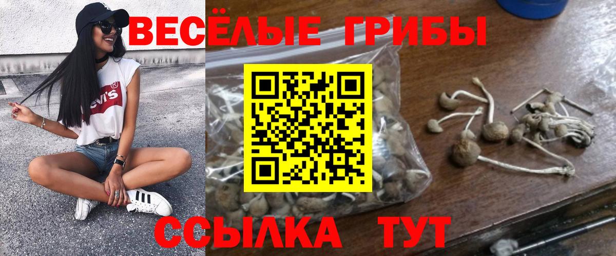 Псилоцибиновые грибы ЛСД  Вход с VPN  Учалы  Галлюциногенные грибы MAGIC MUSHROOMS 