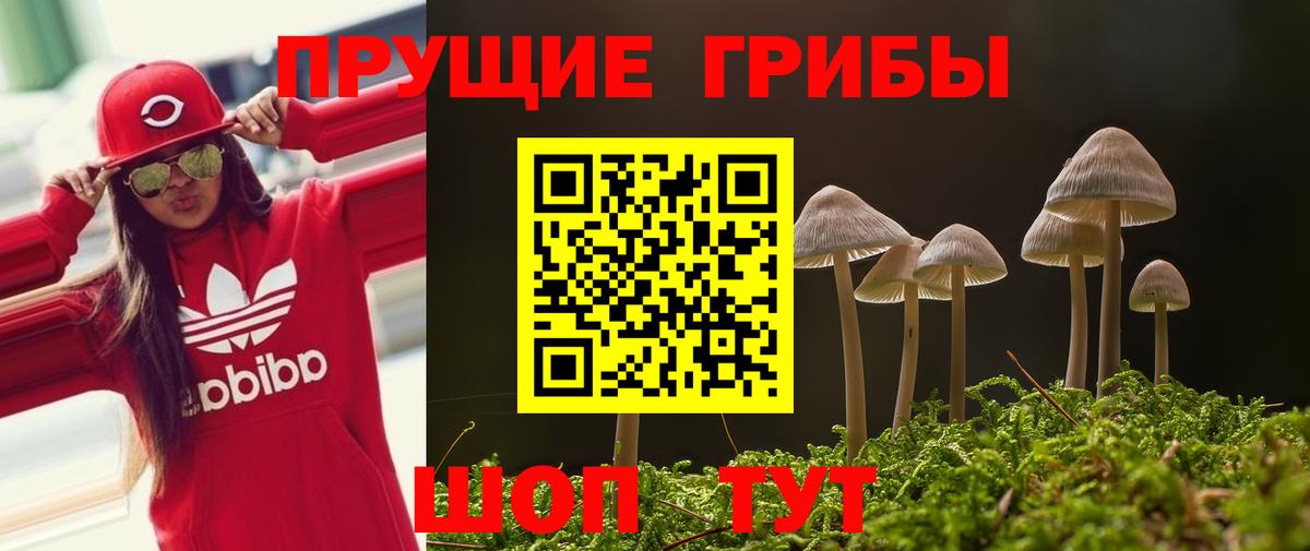 Галлюциногенные грибы Cubensis Учалы